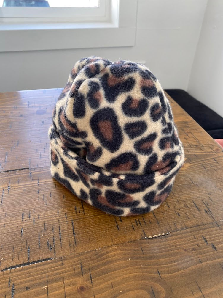 Cheetah 1