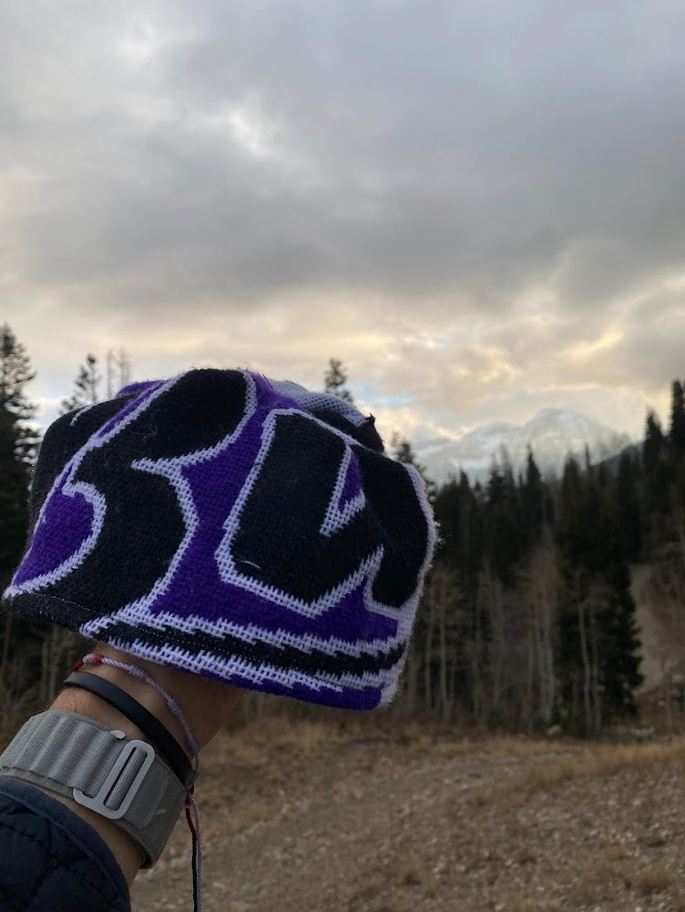 Purple Power Skullcap